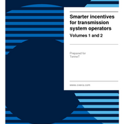 Smarter incentives for transmission system operators