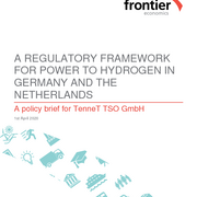 A regulatory framework for power to hydrogen in Germany and the Netherlands
