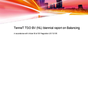 Report on balancing - 2022