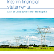 Interim financial statements 2012