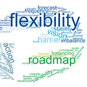 Flexibility roadmap