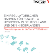 Ein regulatorischer Rahmen für Power to Hydrogen in Deutschland und den Niederlanden