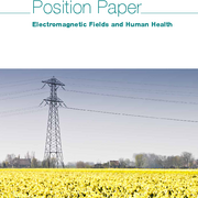 Electromagnetic Fields and Human Health Electromagnetic Fields and Human Health