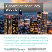 Summary generation adequacy electricity